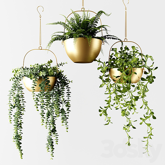 
                                                                                                            Ampel plants in bronze flower pots 