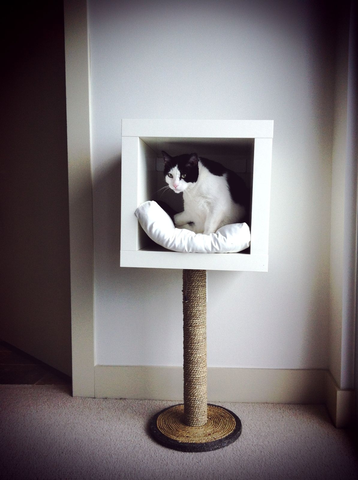 Small expedit cat tree