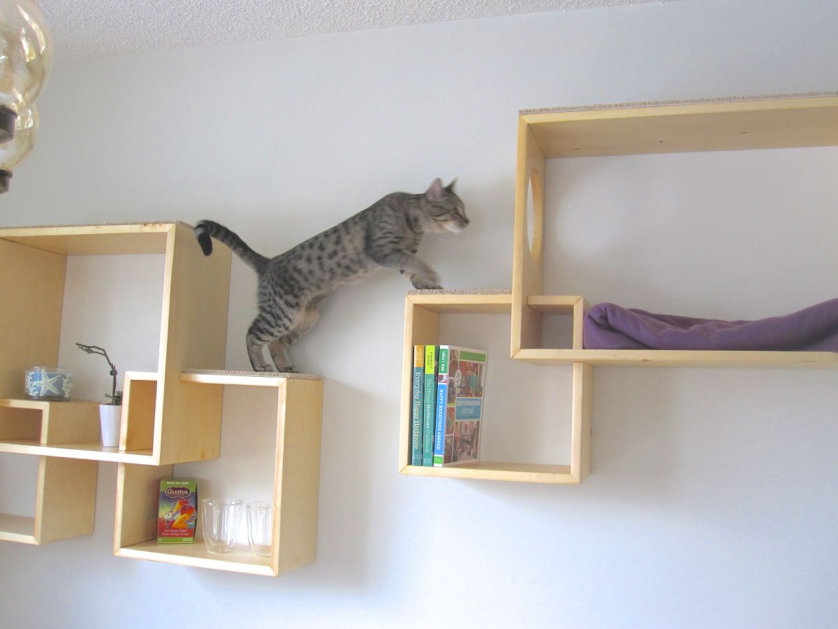 Wall shelves playgorund for cats