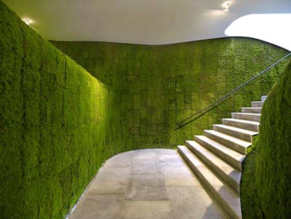 green wall grass