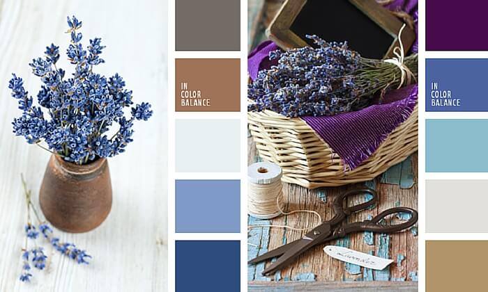Kitchen Provence – color decor