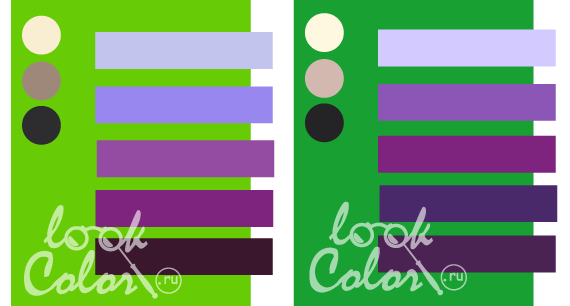 сочетание желто зеленого и зеленого роял с фиолетовым