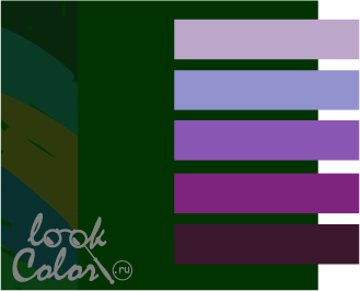 Сочетание темно-зеленого и фиолетового