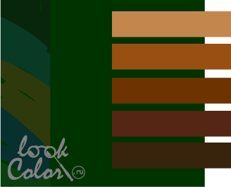 Сочетание темно-зеленого и коричневого