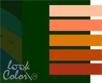 Сочетание темно-зеленого и оранжевого