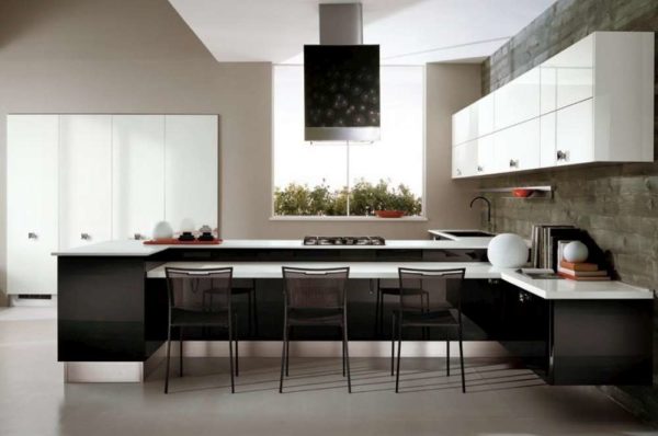 Черно-белые кухни – дизайн