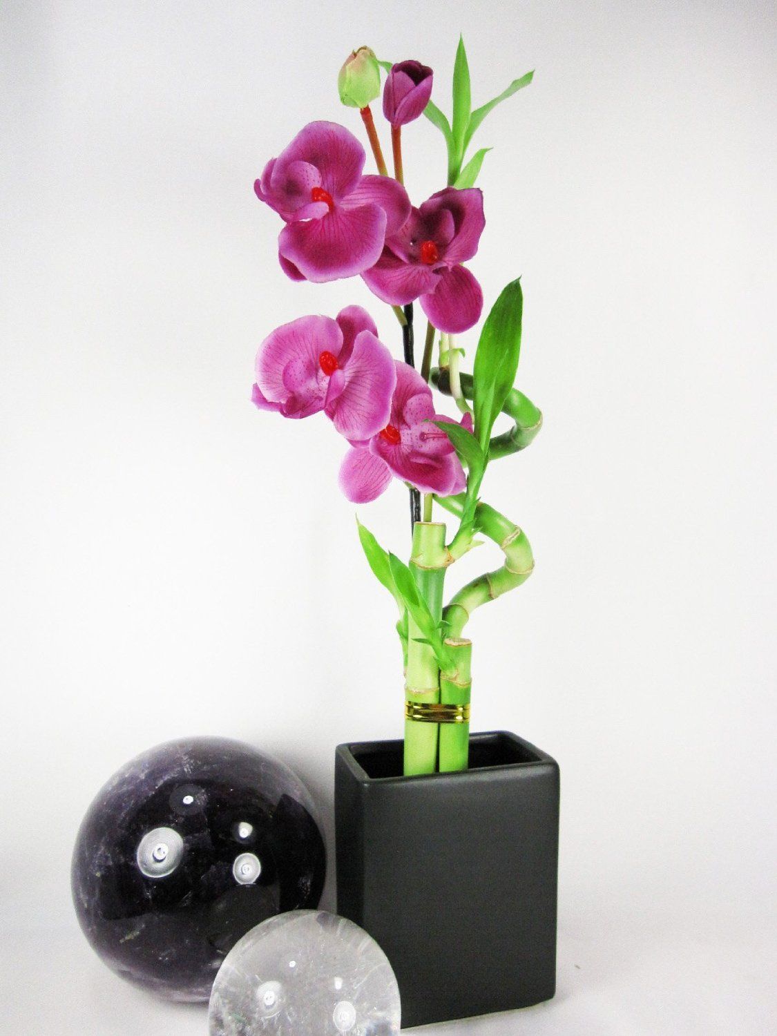 Красивое сочетание бамбука и орхидеи для украшения интерьера