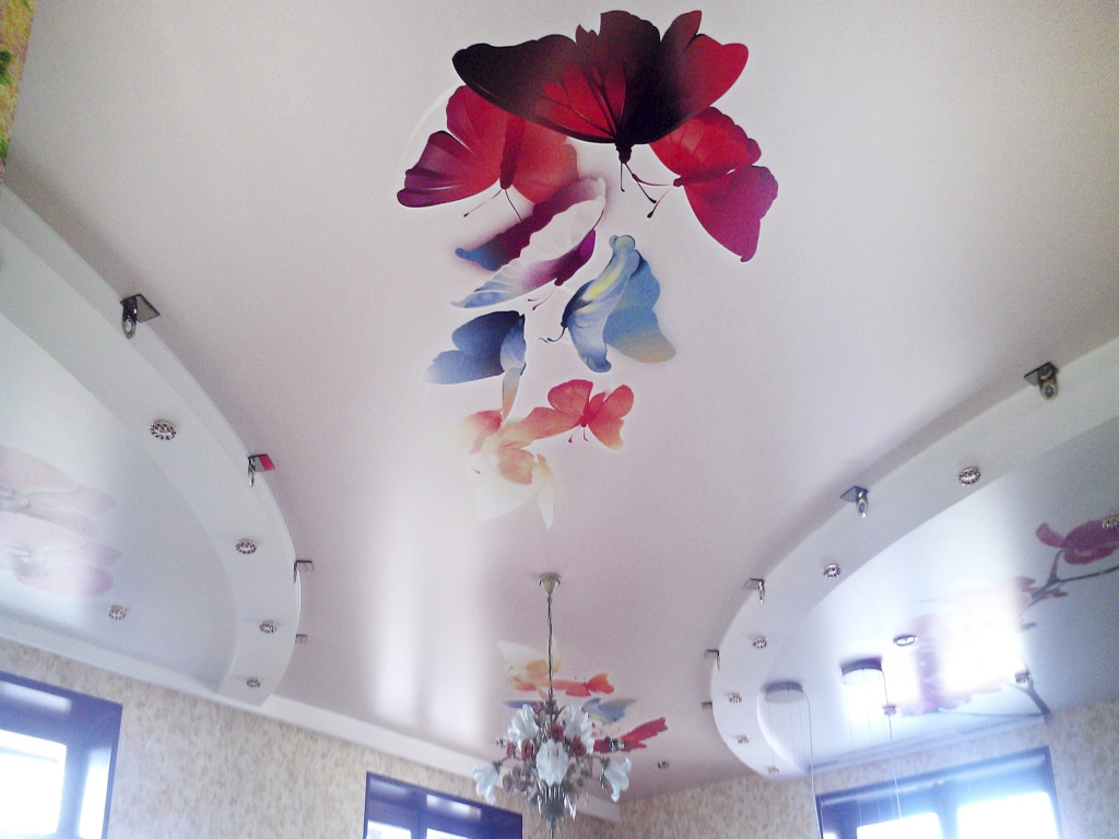 Натяжной потолок с фотопечатью бабочки