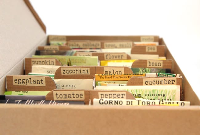 Make A Seed Box for organized storage 