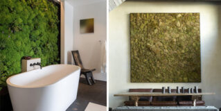 Moss Walls: The Interior Design Trend That Turns Your Home Into A Forest