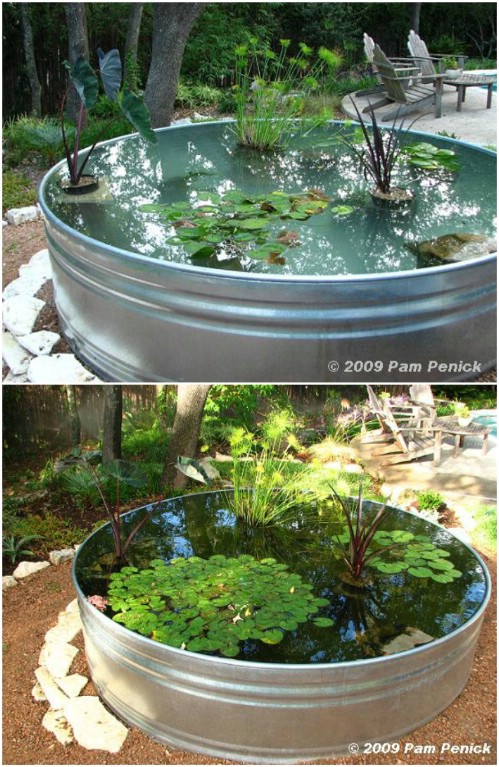 Repurposed Stock Tank Garden Pond