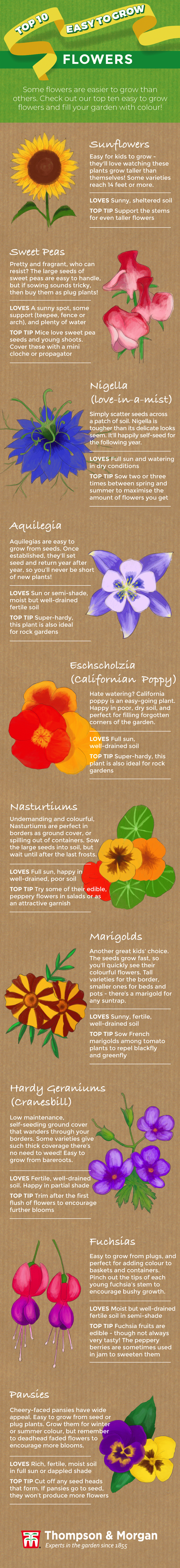 top ten easy to grow flowers infographic from thompson & morgan