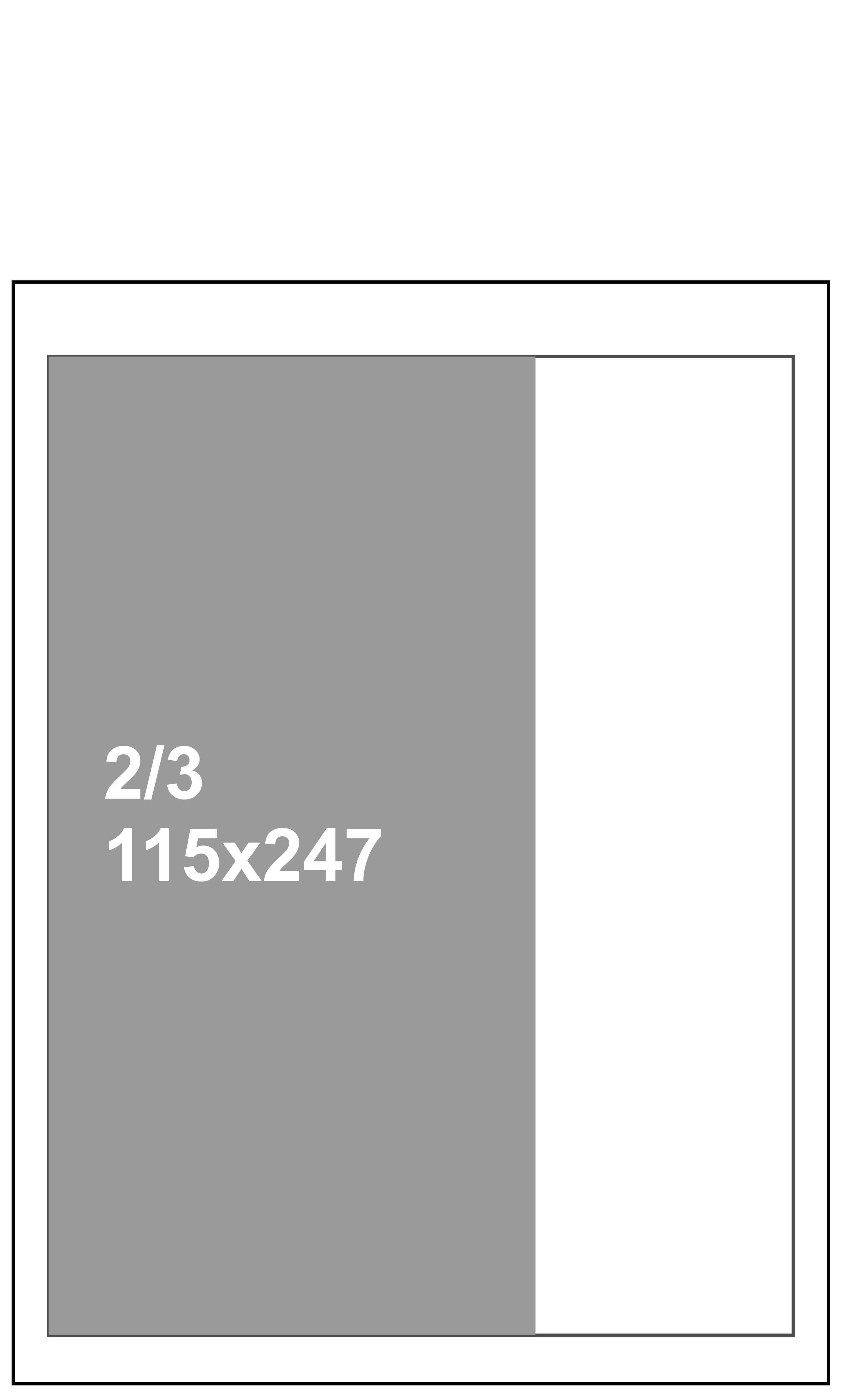 модуль для цветной газетной полосы 115х247